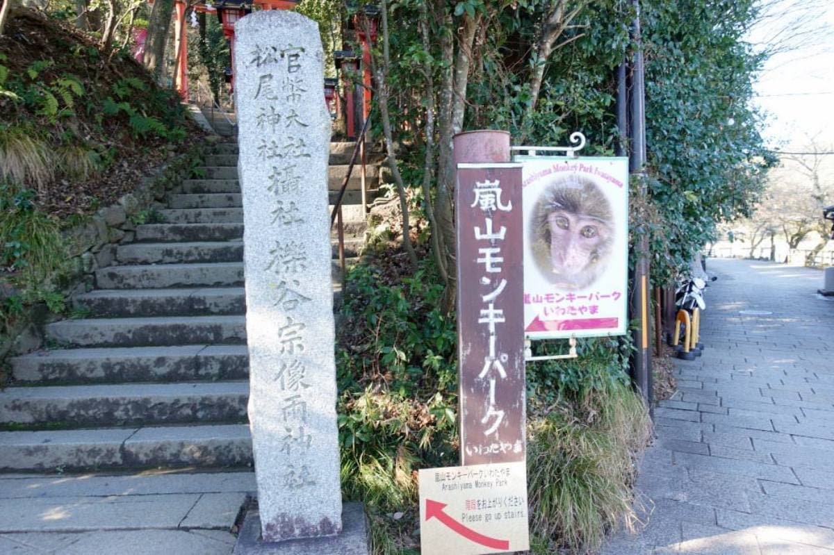日本動物系景點!超人氣6處必去:全球唯一狐狸村、千隻兔兔圍繞神祕島 日本動物系景點!超人氣6處必去:全球唯一狐狸村、千隻兔兔圍繞神祕島