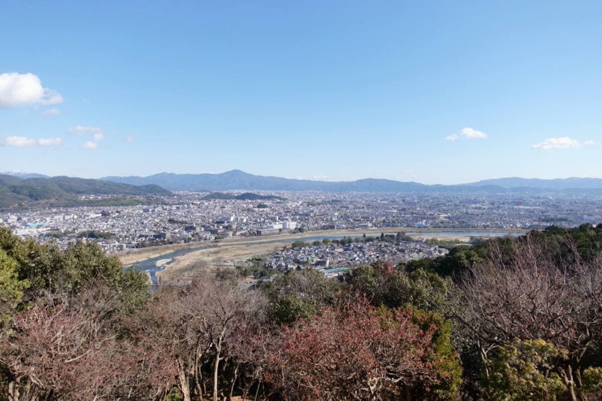 日本動物系景點!超人氣6處必去:全球唯一狐狸村、千隻兔兔圍繞神祕島 日本動物系景點!超人氣6處必去:全球唯一狐狸村、千隻兔兔圍繞神祕島