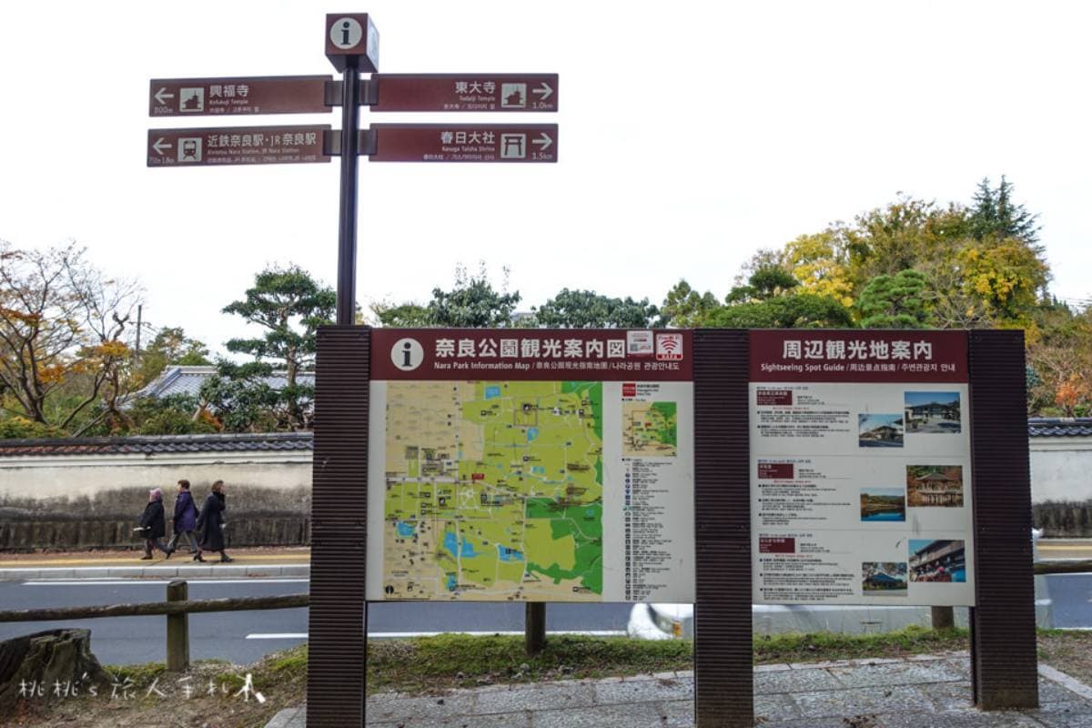 日本動物系景點!超人氣6處必去:全球唯一狐狸村、千隻兔兔圍繞神祕島 日本動物系景點!超人氣6處必去:全球唯一狐狸村、千隻兔兔圍繞神祕島