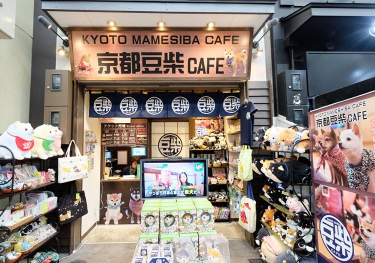 日本動物系景點!超人氣6處必去:全球唯一狐狸村、千隻兔兔圍繞神祕島 日本動物系景點!超人氣6處必去:全球唯一狐狸村、千隻兔兔圍繞神祕島