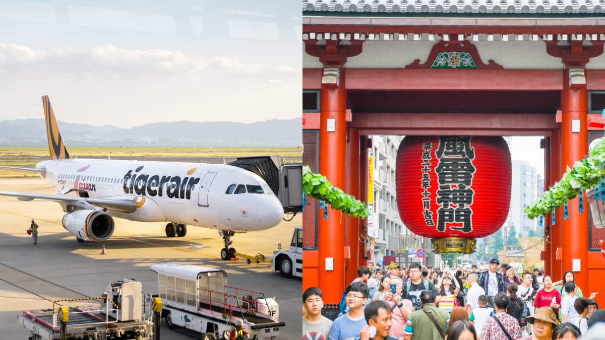 飛日本最低僅100元起!虎航「全航線優惠」會員開搶,「這天」再搶千元機票