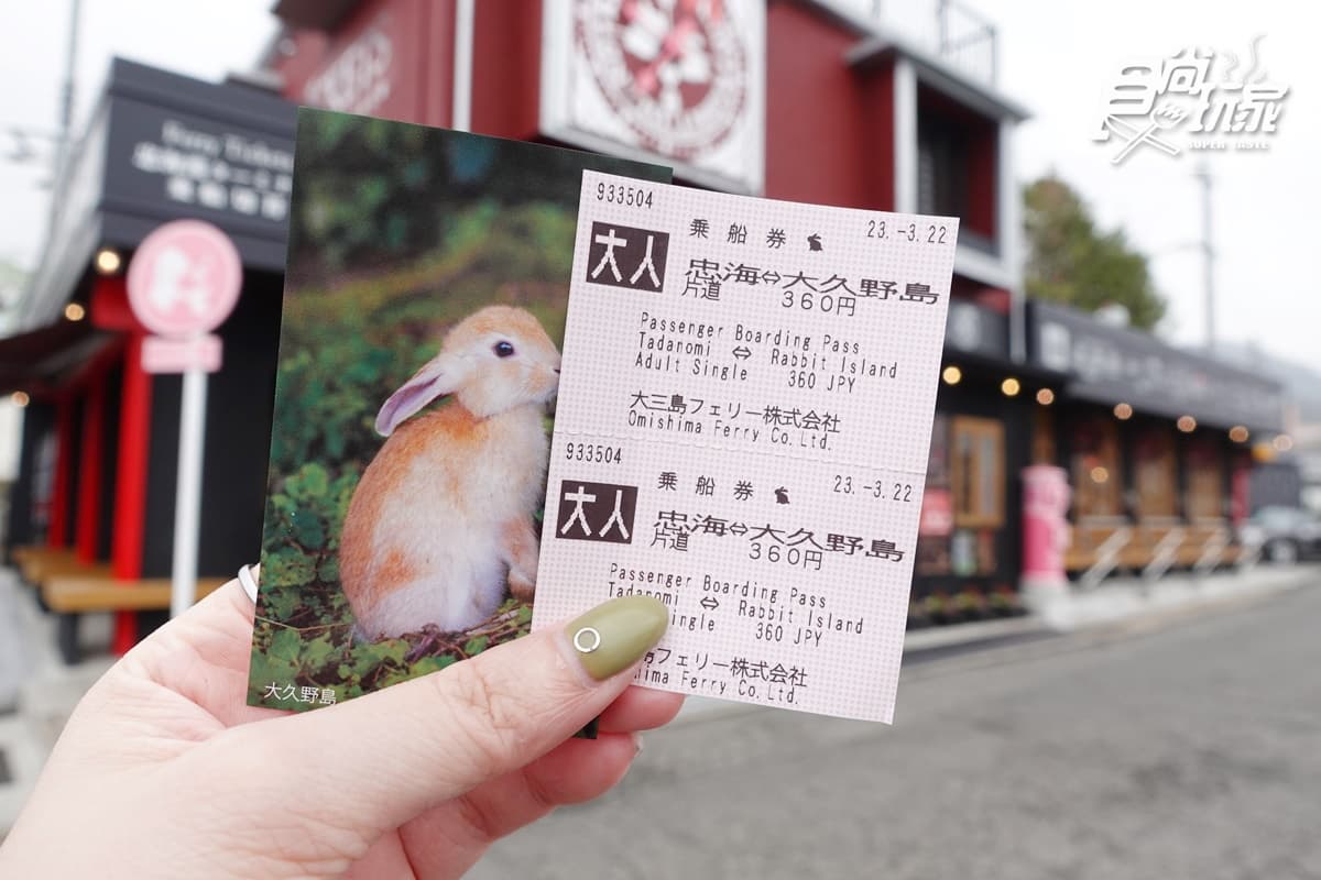 女子旅首選!超Q「兔子島」兔兔餵食TIPS、兔耳打卡點、童話風紀念品店 女子旅首選!超Q「兔子島」兔兔餵食TIPS、兔耳打卡點、童話風紀念品店