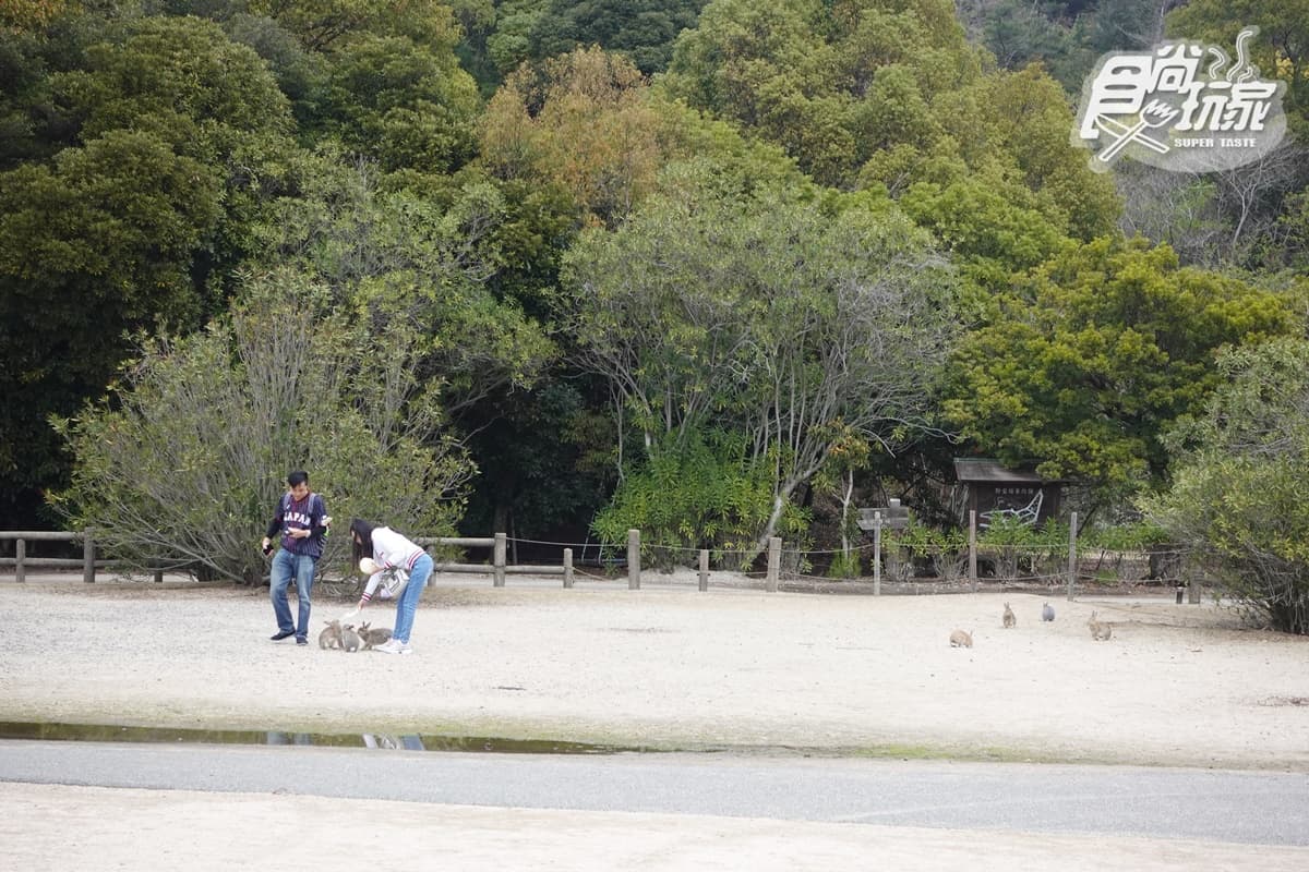 女子旅首選!超Q「兔子島」兔兔餵食TIPS、兔耳打卡點、童話風紀念品店 女子旅首選!超Q「兔子島」兔兔餵食TIPS、兔耳打卡點、童話風紀念品店