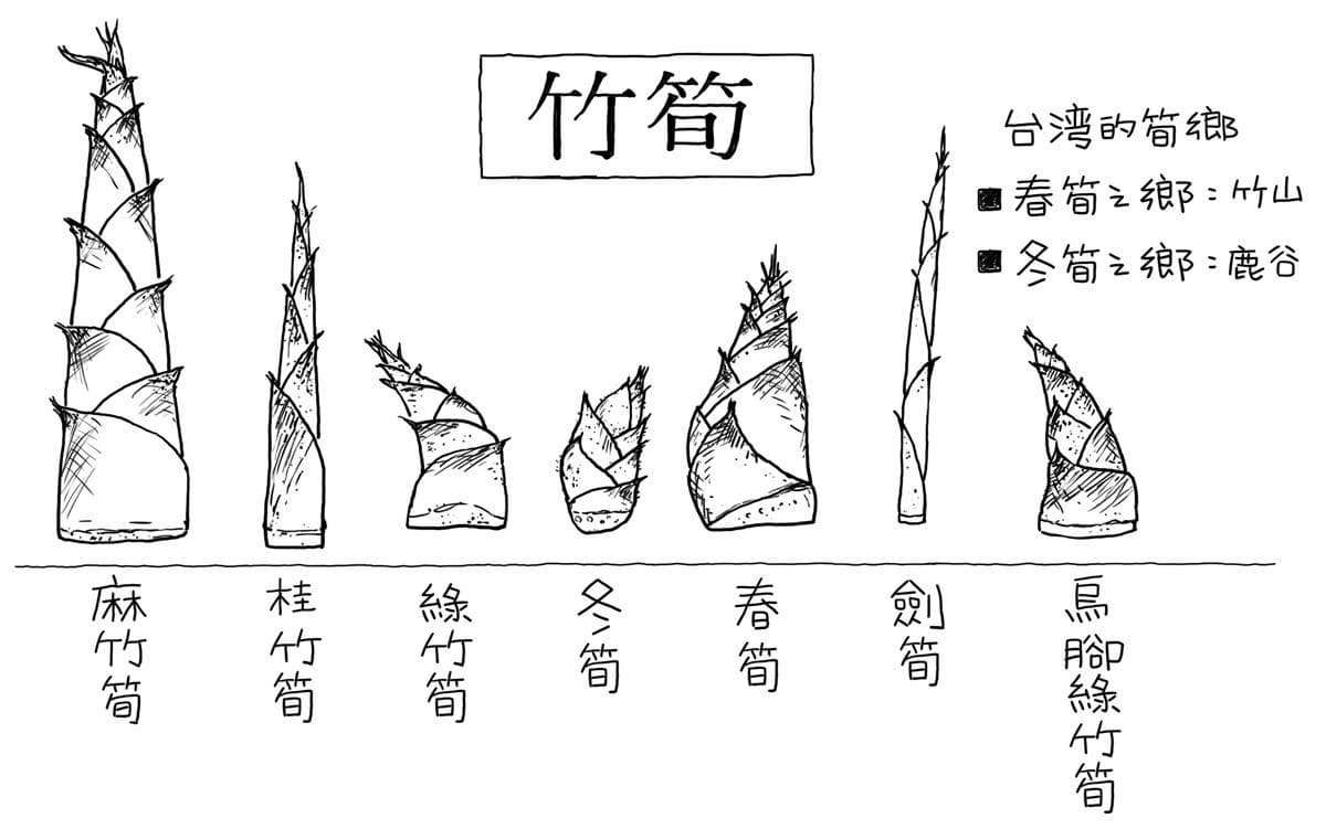 現在正是吃筍季節!教你挑筍避開「苦又老」大雷,看筍尖「這顏色」千萬別買 現在正是吃筍季節!教你挑筍避開「苦又老」大雷,看筍尖「這顏色」千萬別買