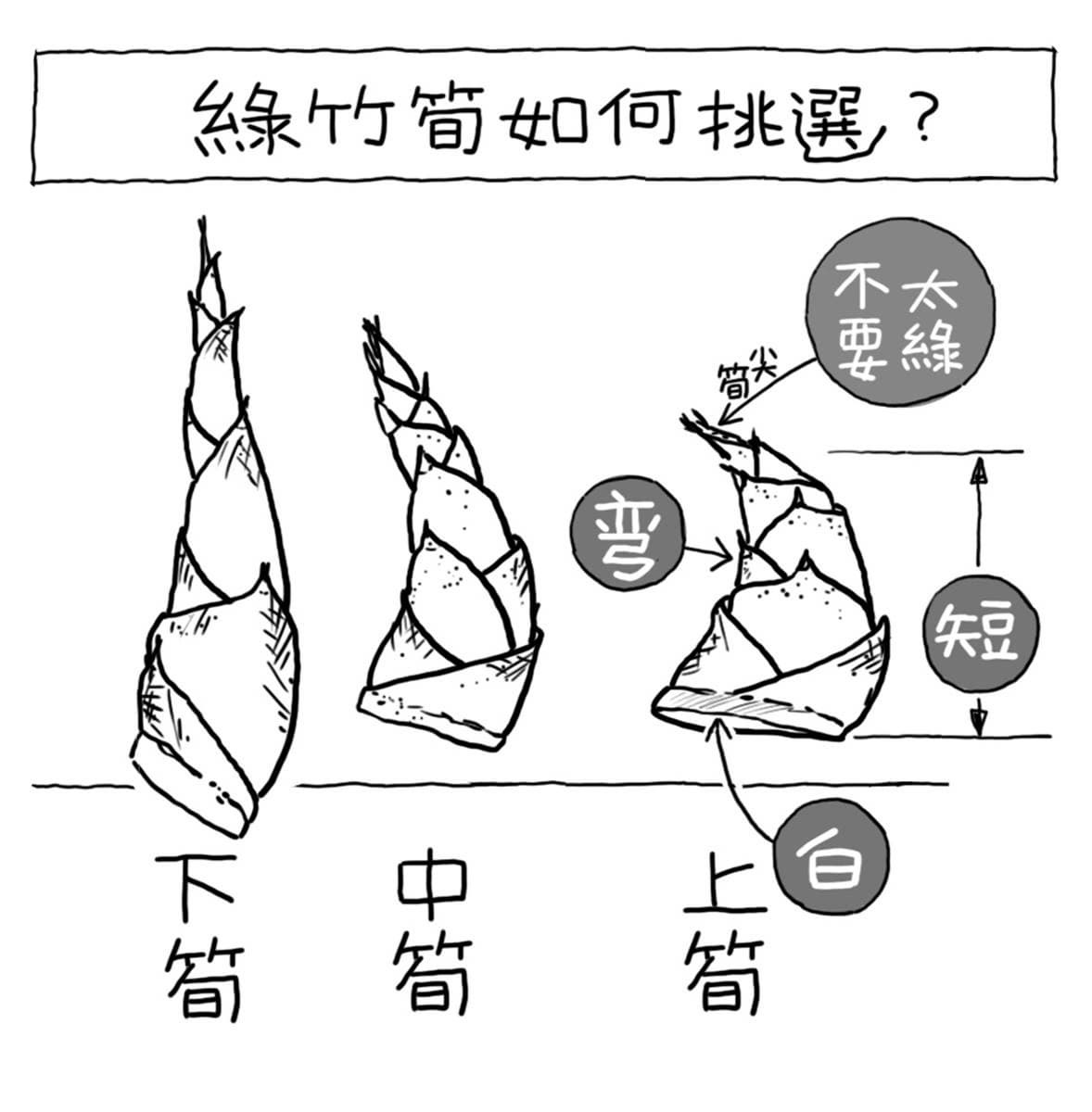 現在正是吃筍季節!教你挑筍避開「苦又老」大雷,看筍尖「這顏色」千萬別買 現在正是吃筍季節!教你挑筍避開「苦又老」大雷,看筍尖「這顏色」千萬別買