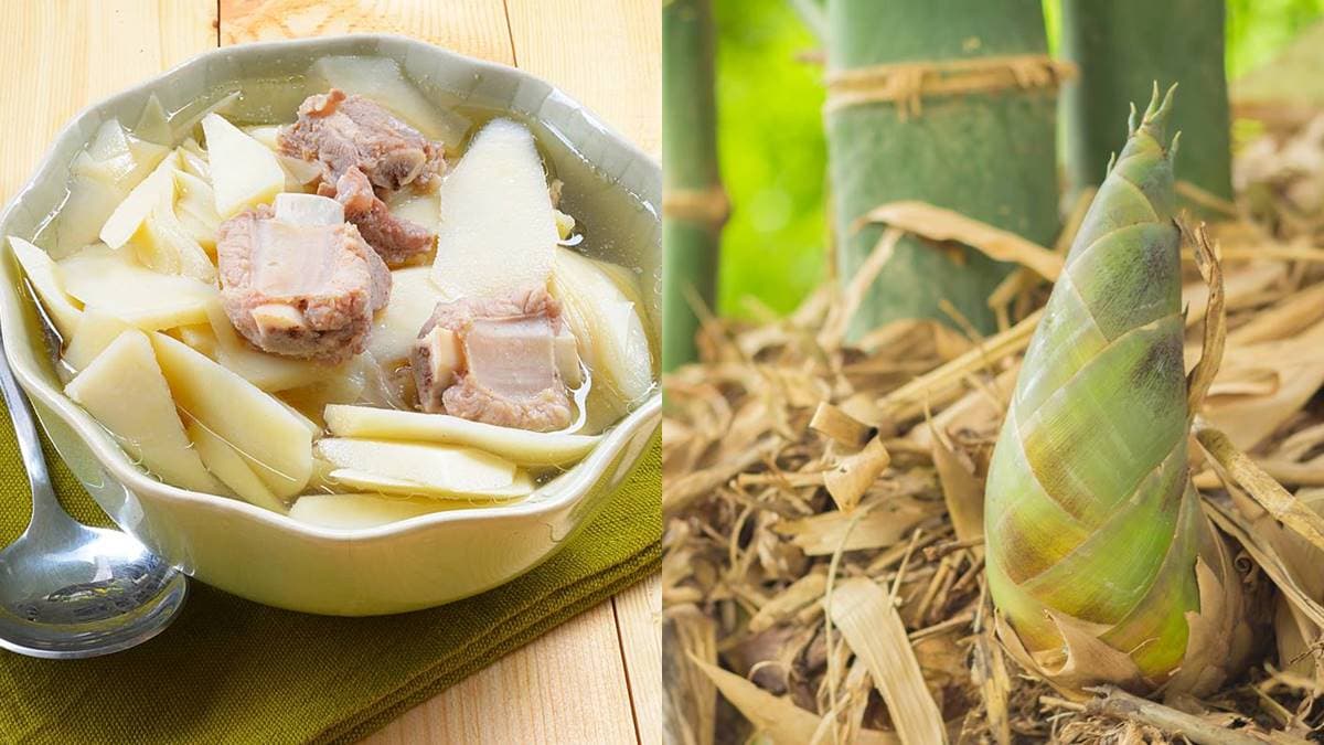 現在正是吃筍季節!教你挑筍避開「苦又老」大雷,看筍尖「這顏色」千萬別買