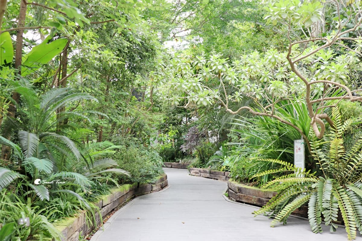 台北免費景點推薦!6處公園、室內景點必衝:台北最長溜滑梯、1日小加油員 台北免費景點推薦!6處公園、室內景點必衝:台北最長溜滑梯、1日小加油員