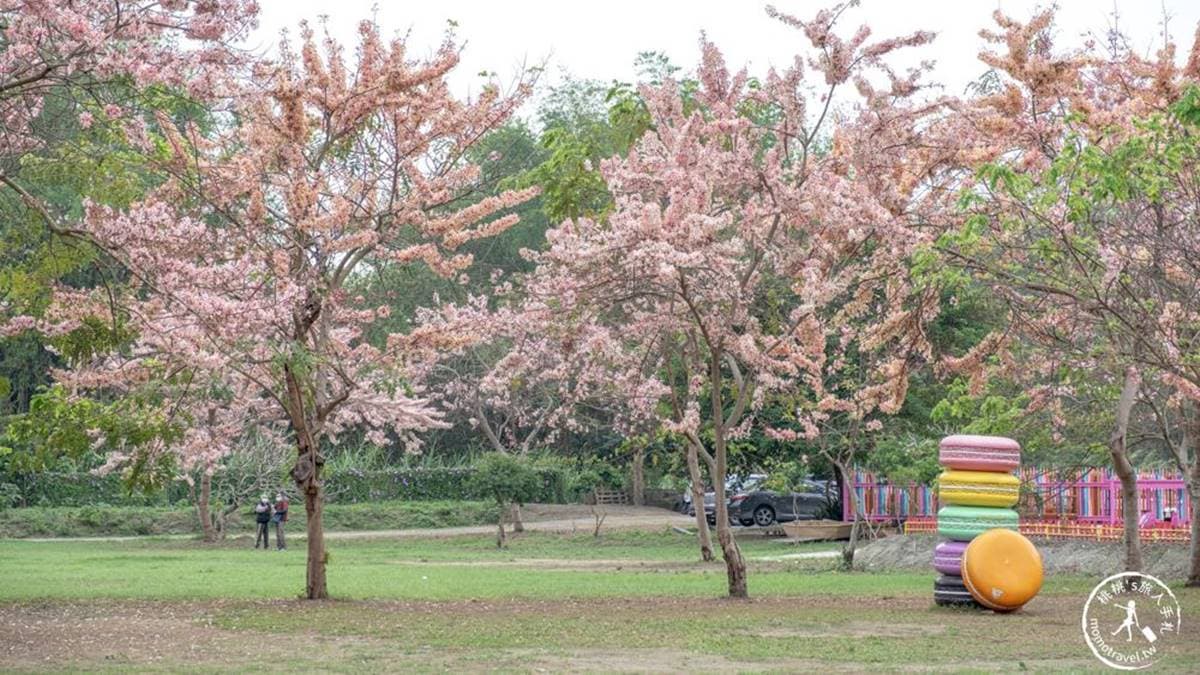 近水樓台湖畔森林咖啡