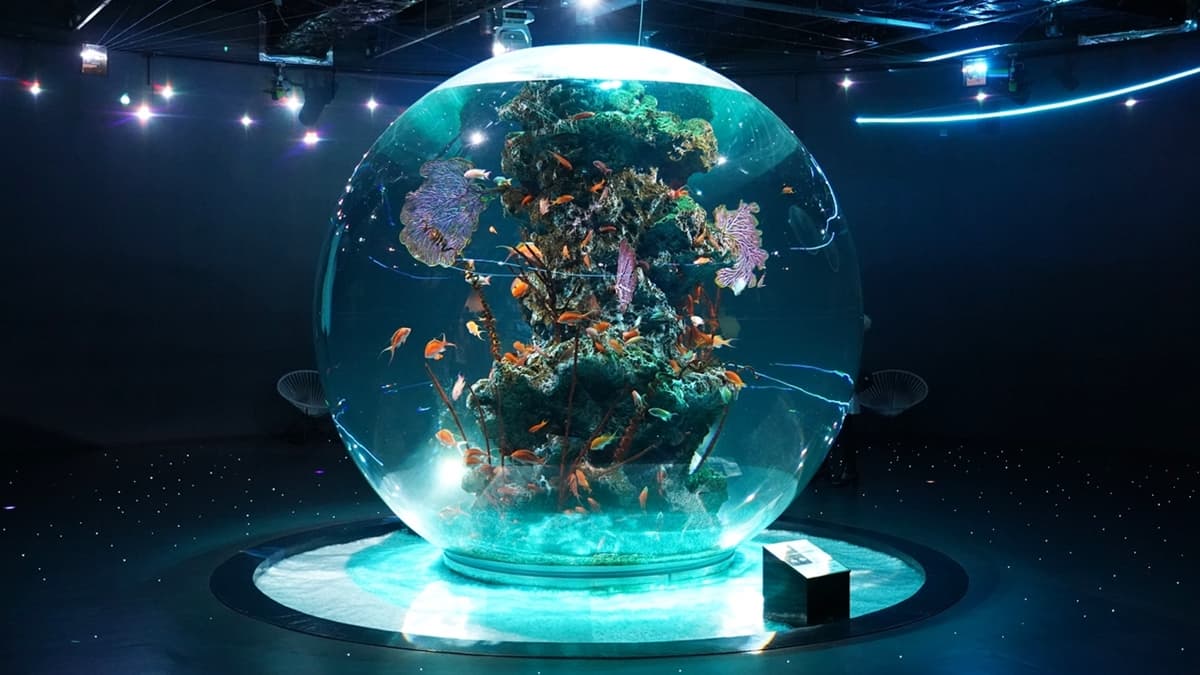átoa水族館 img