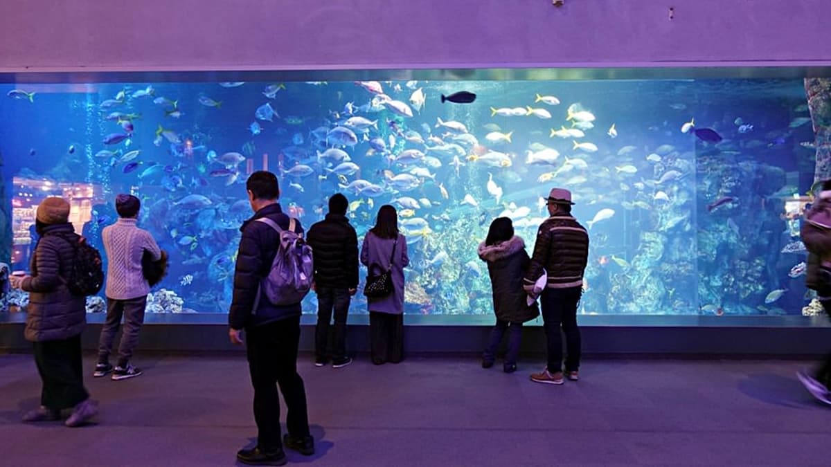 鳥羽水族館
