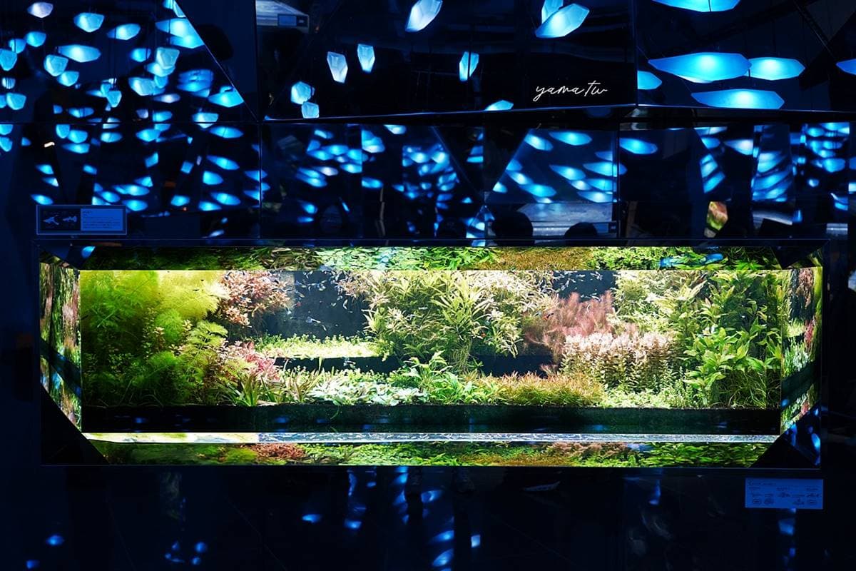 6大特色水族館!日本行不去後悔:唯一「美人魚」水族館、全日最大球體水槽 6大特色水族館!日本行不去後悔:唯一「美人魚」水族館、全日最大球體水槽