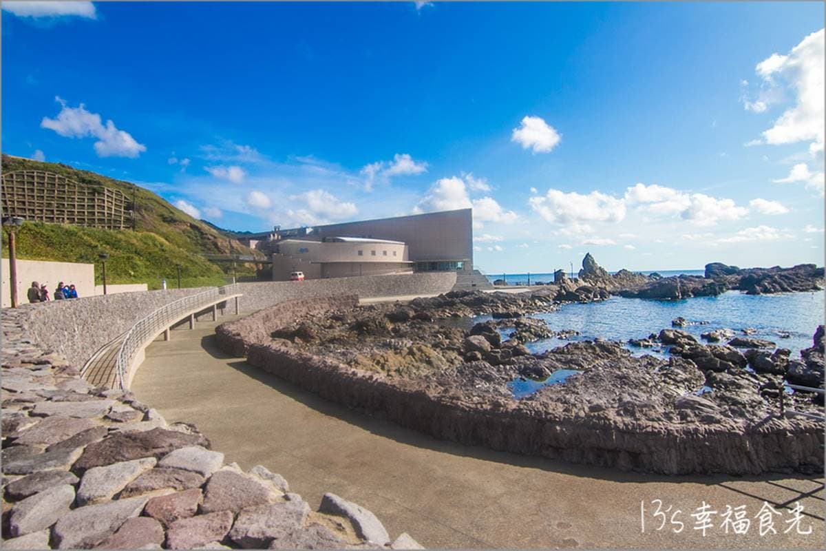 6大特色水族館!日本行不去後悔:唯一「美人魚」水族館、全日最大球體水槽 6大特色水族館!日本行不去後悔:唯一「美人魚」水族館、全日最大球體水槽