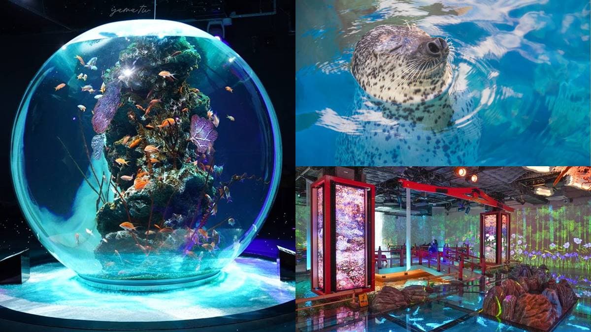 6大特色水族館!日本行不去後悔:唯一「美人魚」水族館、全日最大球體水槽