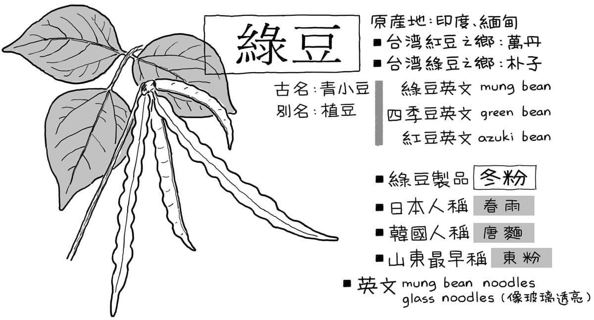 「黃金比例」綠豆湯怎麼煮?老饕揭美味關鍵:泡水順序、最後加「這1味」 「黃金比例」綠豆湯怎麼煮?老饕揭美味關鍵:泡水順序、最後加「這1味」
