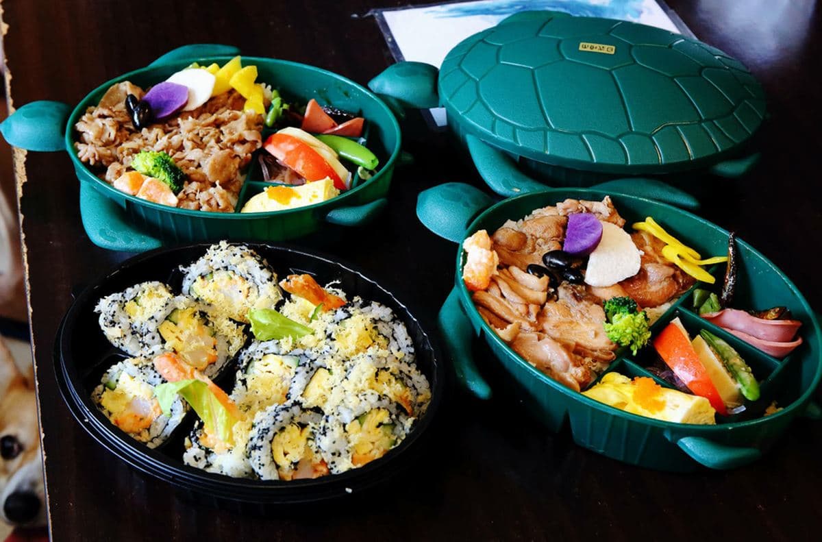 療癒「海龜便當」太欠吃! 超萌餐盒全台僅這買得到,料多澎派IG、FB打卡夯翻 療癒「海龜便當」太欠吃! 超萌餐盒全台僅這買得到,料多澎派IG、FB打卡夯翻