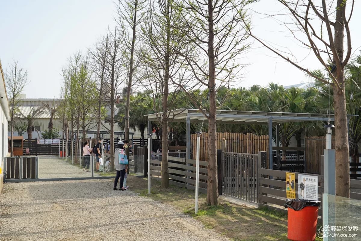 【新開店】最低50元!親子農場零距離餵水豚、笑笑羊,明起開放5月預約快搶 【新開店】最低50元!親子農場零距離餵水豚、笑笑羊,明起開放5月預約快搶
