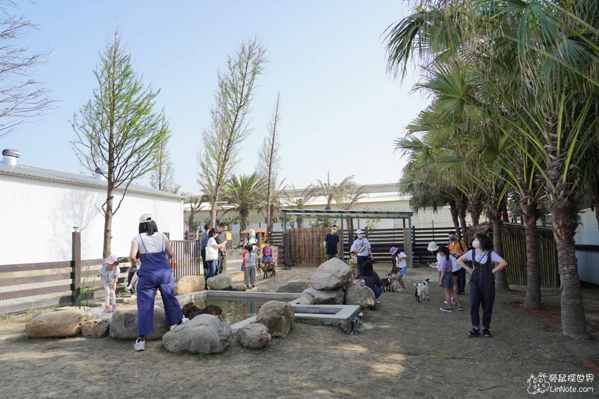 【新開店】最低50元!親子農場零距離餵水豚、笑笑羊,明起開放5月預約快搶 【新開店】最低50元!親子農場零距離餵水豚、笑笑羊,明起開放5月預約快搶