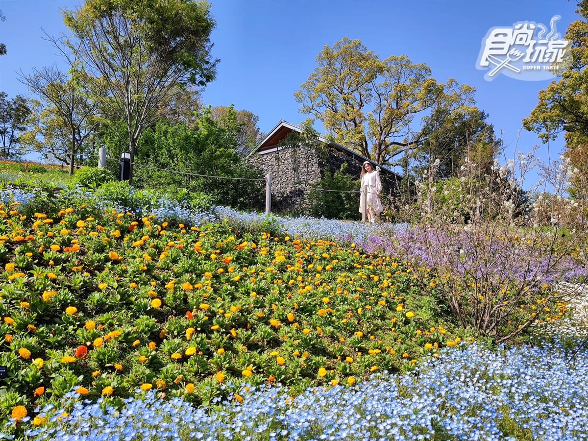 隨便拍都夢幻!超美植物園顏值爆表,必拍「巨型太空艙溫室」 隨便拍都夢幻!超美植物園顏值爆表,必拍「巨型太空艙溫室」