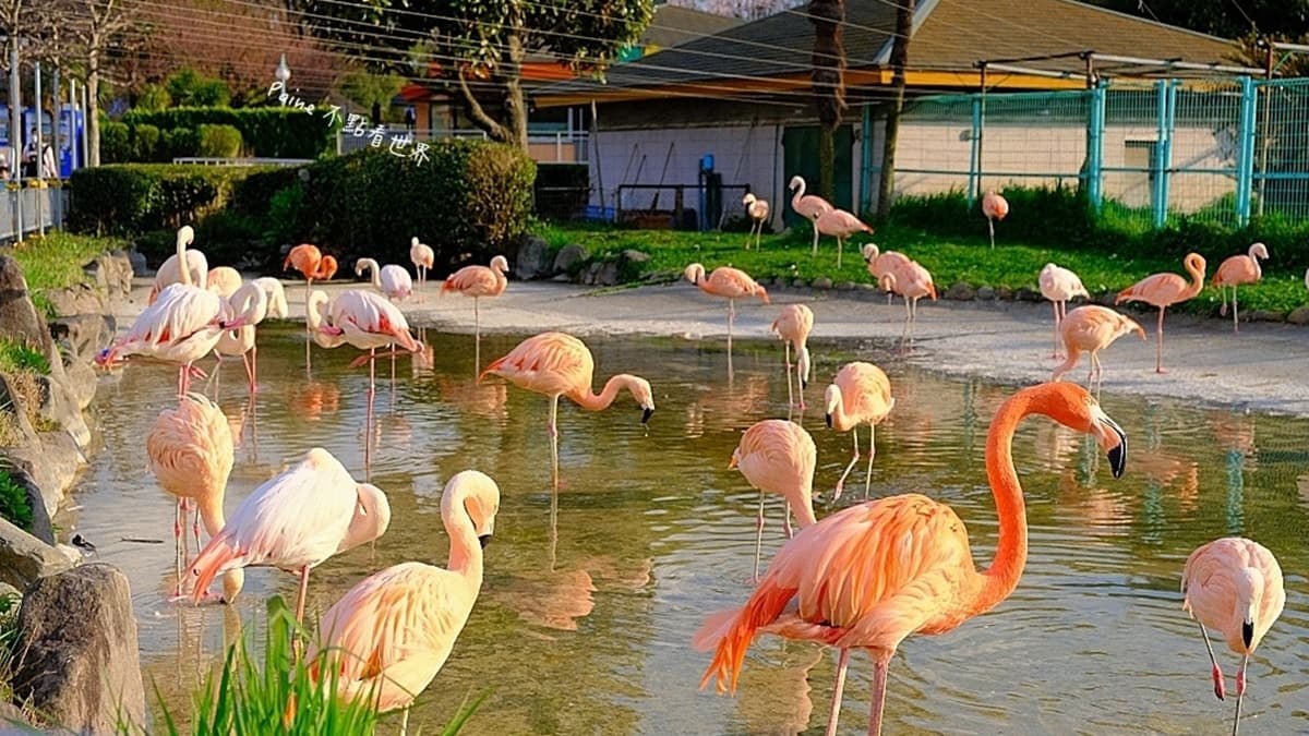 東武動物園