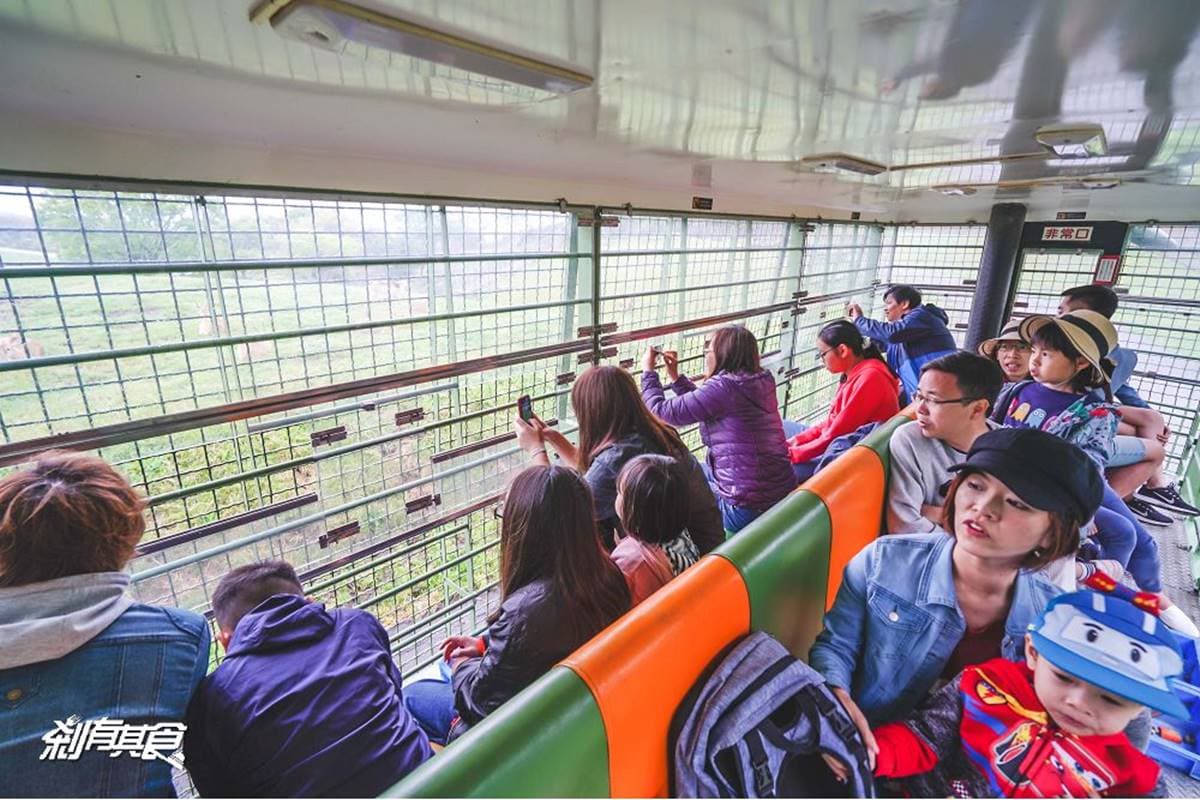 日本人氣動物園!5間必去推薦:坐造型巴士餵動物、企鵝散步秀、珍稀白老虎 日本人氣動物園!5間必去推薦:坐造型巴士餵動物、企鵝散步秀、珍稀白老虎