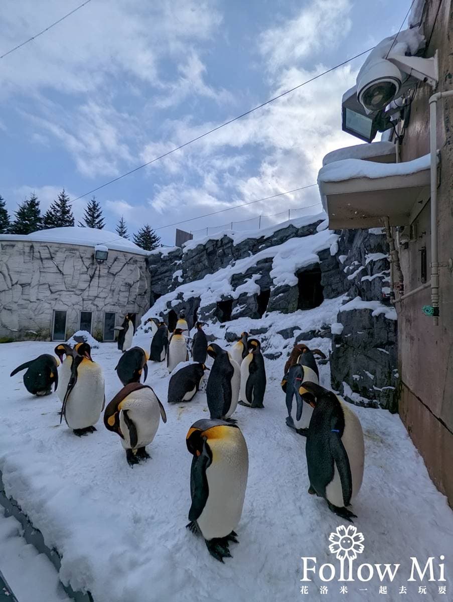 日本人氣動物園!5間必去推薦:坐造型巴士餵動物、企鵝散步秀、珍稀白老虎 日本人氣動物園!5間必去推薦:坐造型巴士餵動物、企鵝散步秀、珍稀白老虎