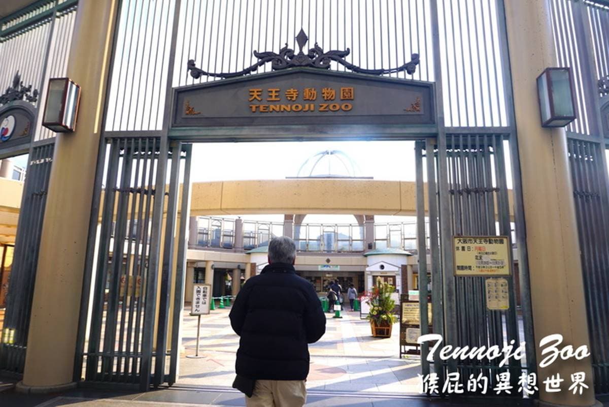 日本人氣動物園!5間必去推薦:坐造型巴士餵動物、企鵝散步秀、珍稀白老虎 日本人氣動物園!5間必去推薦:坐造型巴士餵動物、企鵝散步秀、珍稀白老虎