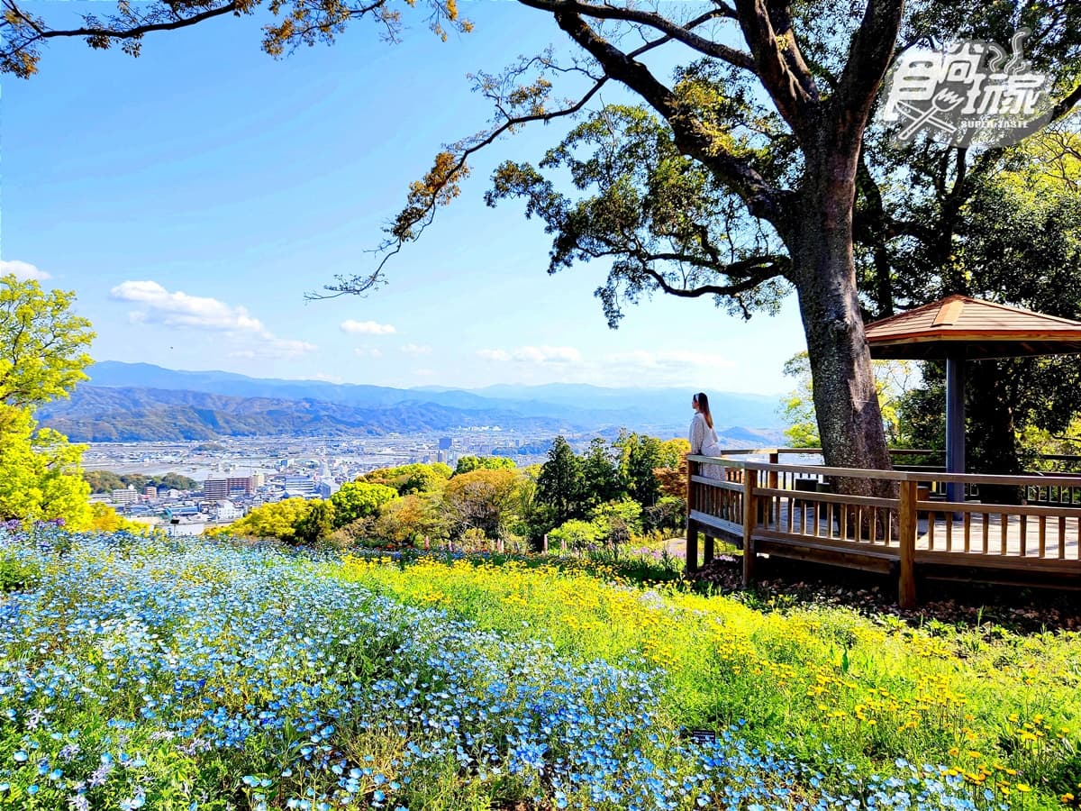 5月直飛高知!必訪「森林系」7大祕境:會下沉的橋、1億年古洞穴冒險 5月直飛高知!必訪「森林系」7大祕境:會下沉的橋、1億年古洞穴冒險
