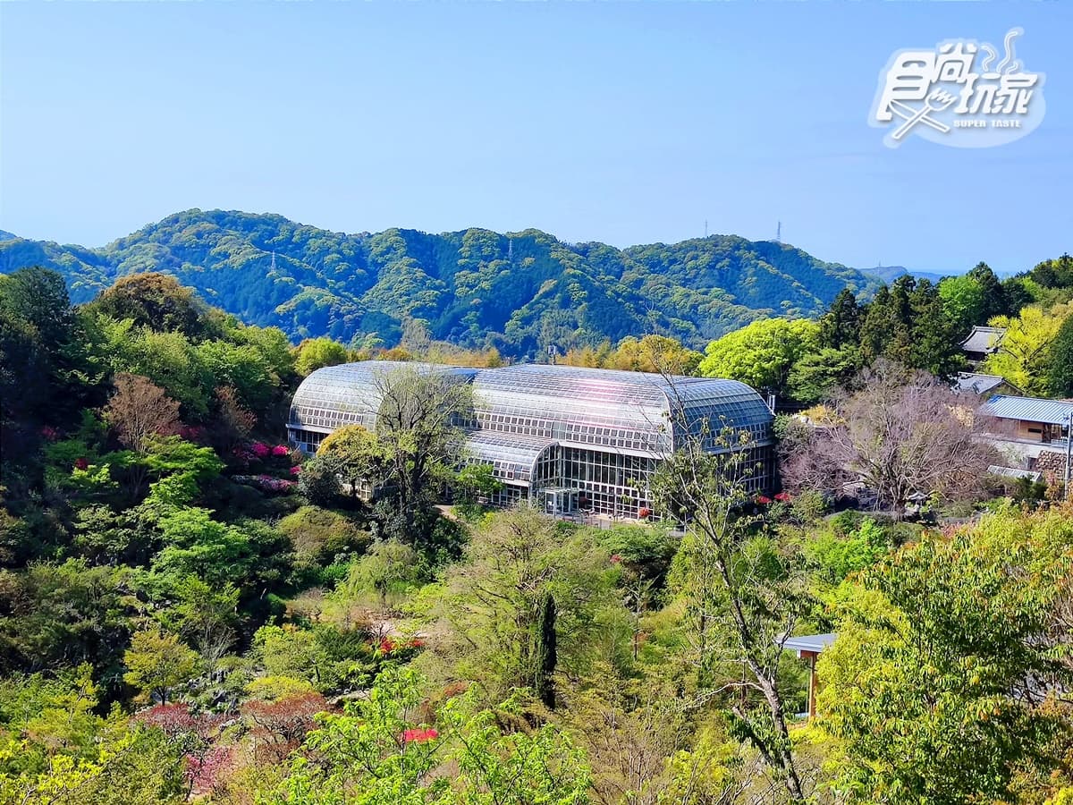5月直飛高知!必訪「森林系」7大祕境:會下沉的橋、1億年古洞穴冒險 5月直飛高知!必訪「森林系」7大祕境:會下沉的橋、1億年古洞穴冒險