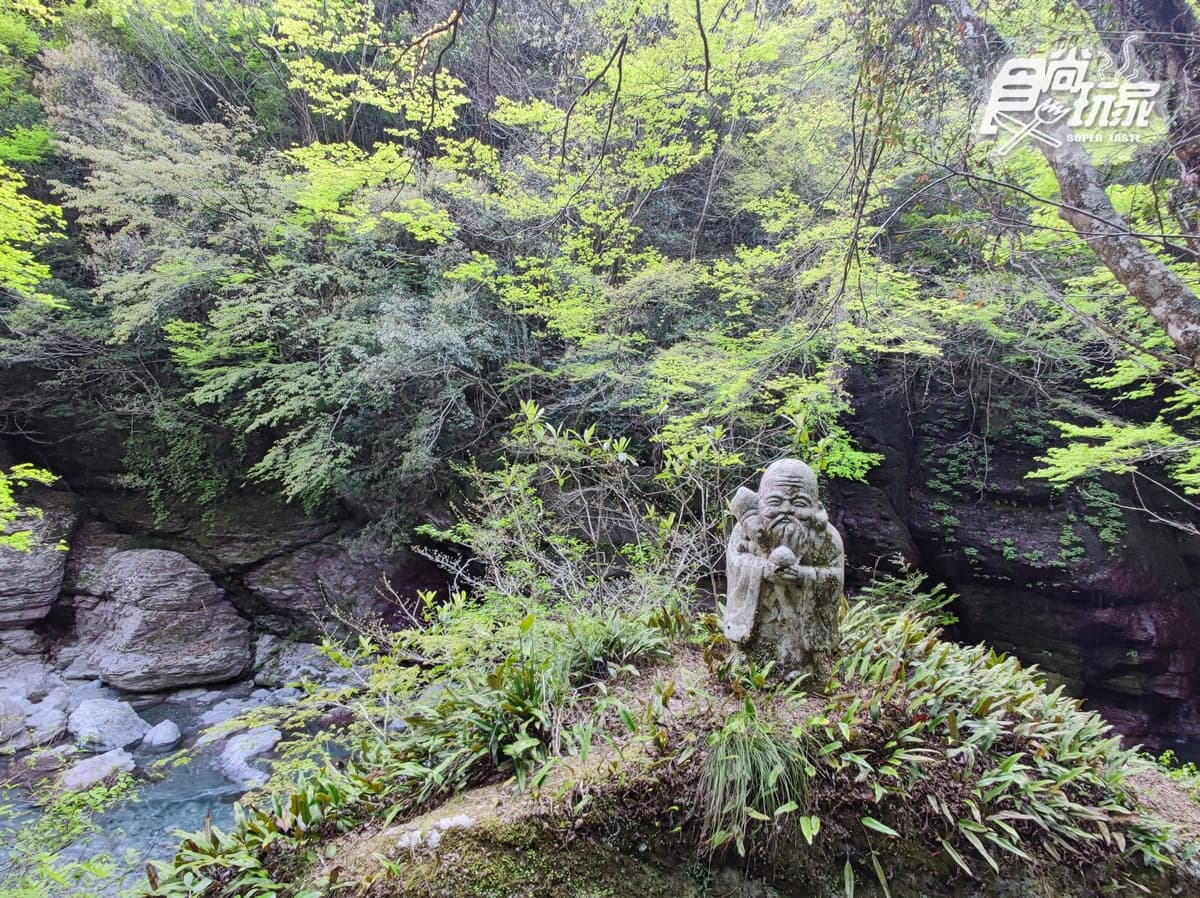 5月直飛高知!必訪「森林系」7大祕境:會下沉的橋、1億年古洞穴冒險 5月直飛高知!必訪「森林系」7大祕境:會下沉的橋、1億年古洞穴冒險