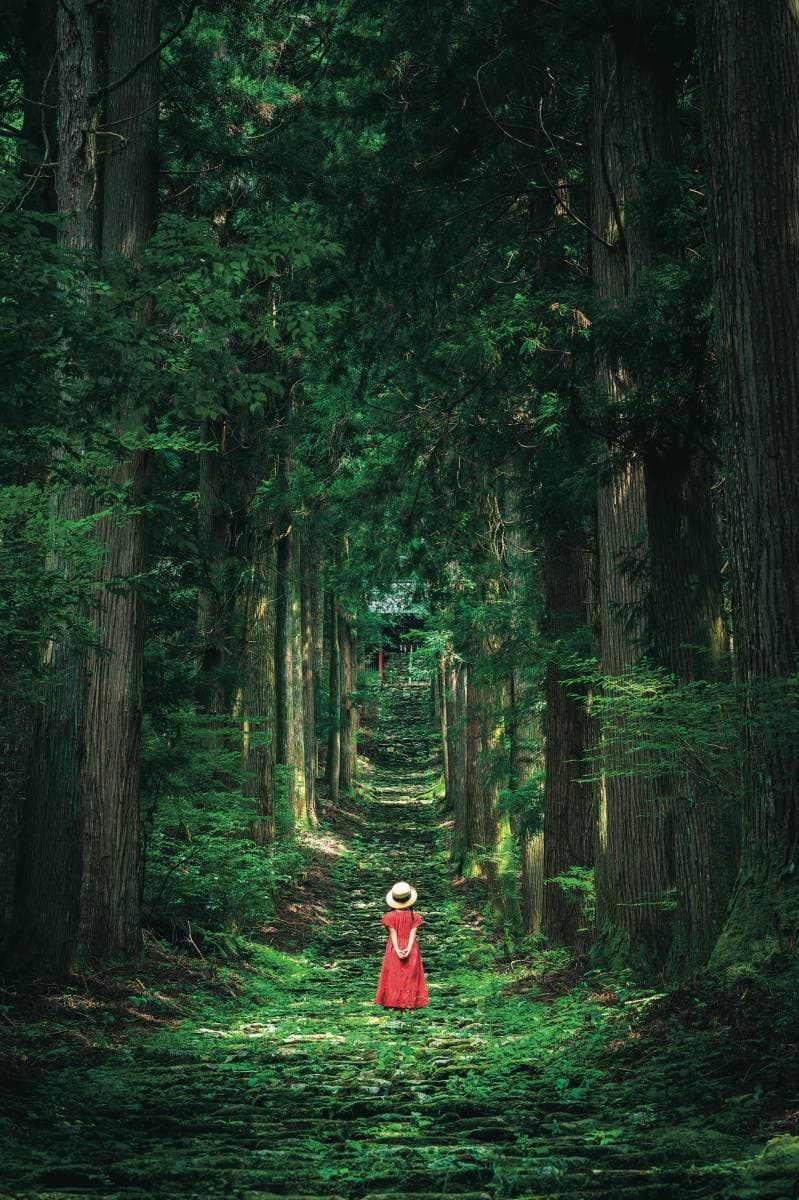 1張照片就暴紅!按讚數狂飆,5處打卡祕境絕景:七彩傘鏡、通往幸福的階梯 1張照片就暴紅!按讚數狂飆,5處打卡祕境絕景:七彩傘鏡、通往幸福的階梯