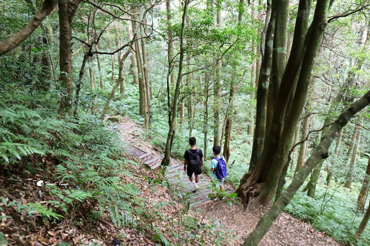 2023桃園繡球花季「這天」開跑!萬株繡球花免費拍爆,順遊周邊4景點+美食 2023桃園繡球花季「這天」開跑!萬株繡球花免費拍爆,順遊周邊4景點+美食