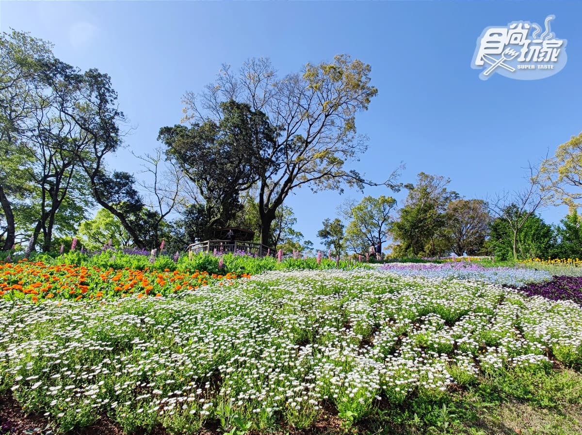 日本最後祕境!四國高知航線直飛,「森林系美景」17種玩法大曝光 日本最後祕境!四國高知航線直飛,「森林系美景」17種玩法大曝光