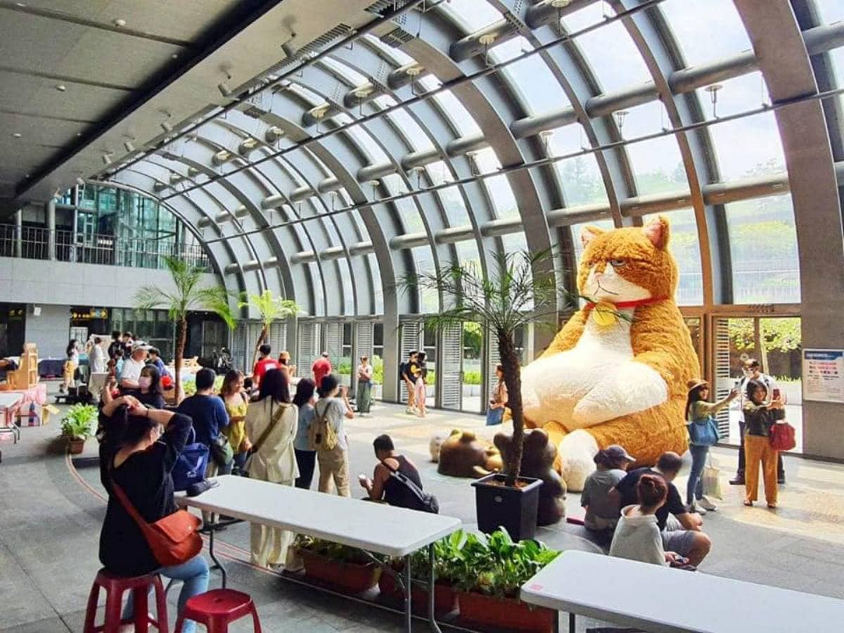 3米高「厭世橘貓」出沒大安森!圓圓肥肚超欠捏,6月「這2天」再順逛市集 3米高「厭世橘貓」出沒大安森!圓圓肥肚超欠捏,6月「這2天」再順逛市集