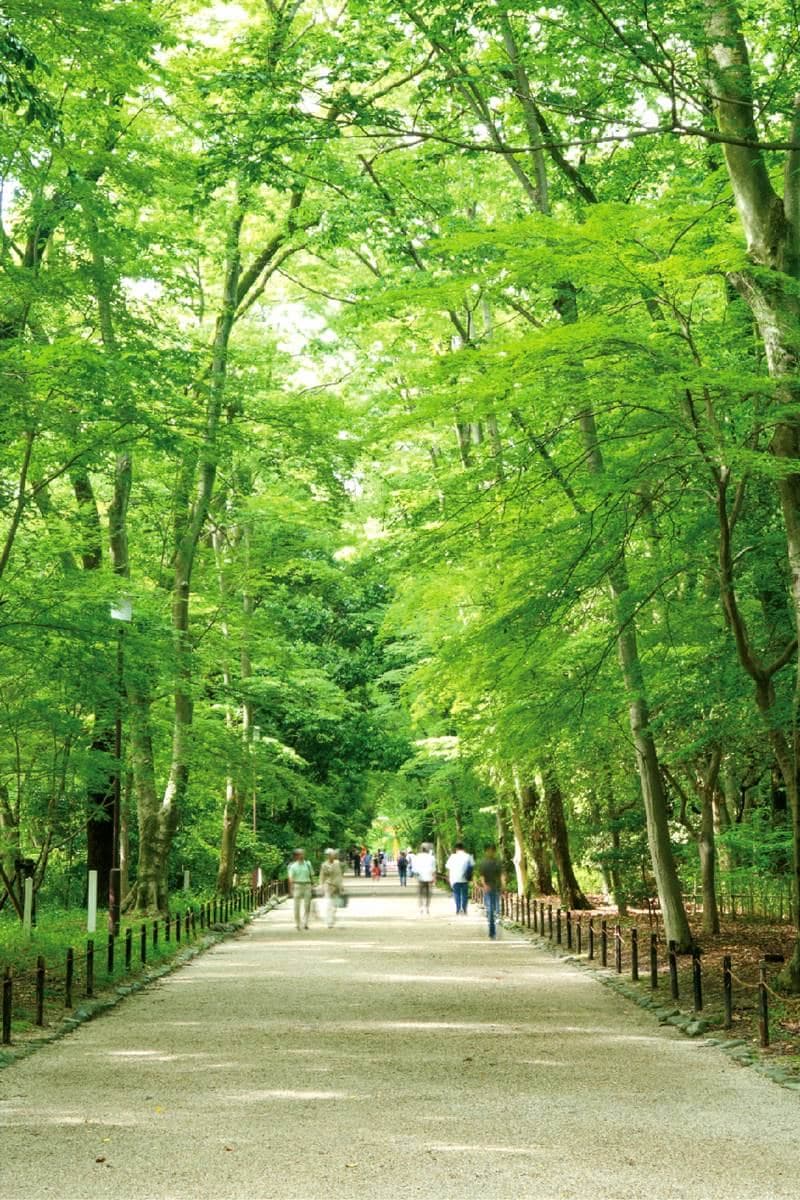 夏日衝一波!京都必去「避暑1日遊」6景點:吃刨冰、體驗鴨川納涼床 夏日衝一波!京都必去「避暑1日遊」6景點:吃刨冰、體驗鴨川納涼床