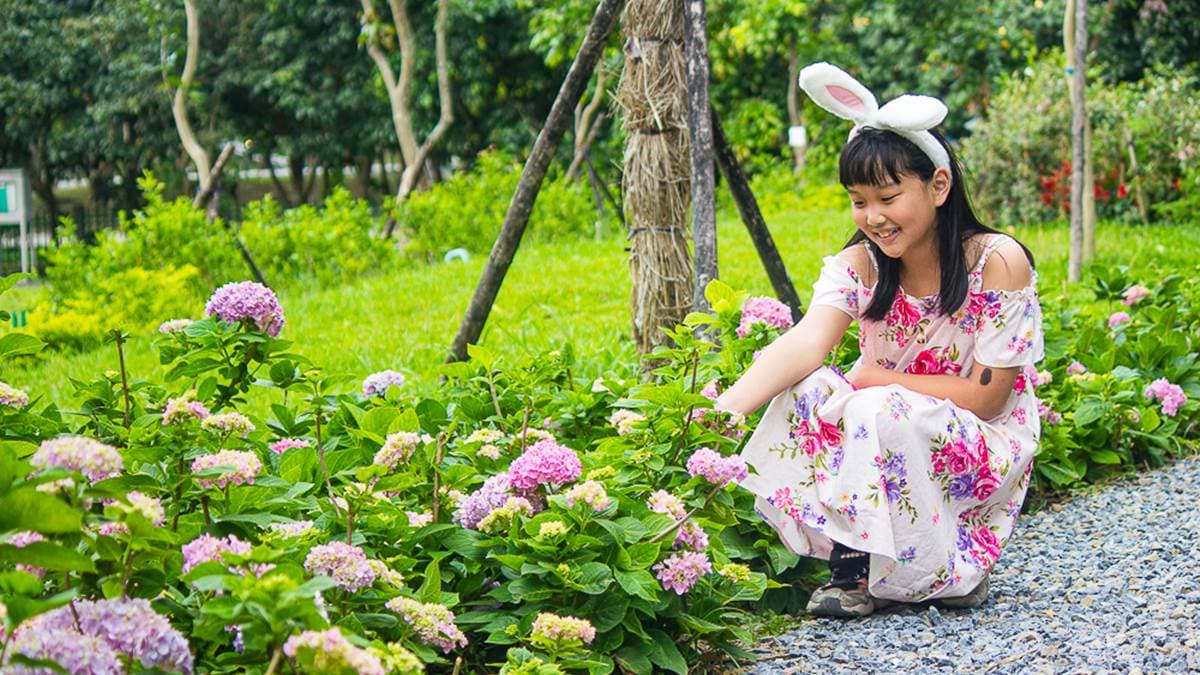 草花植生公園