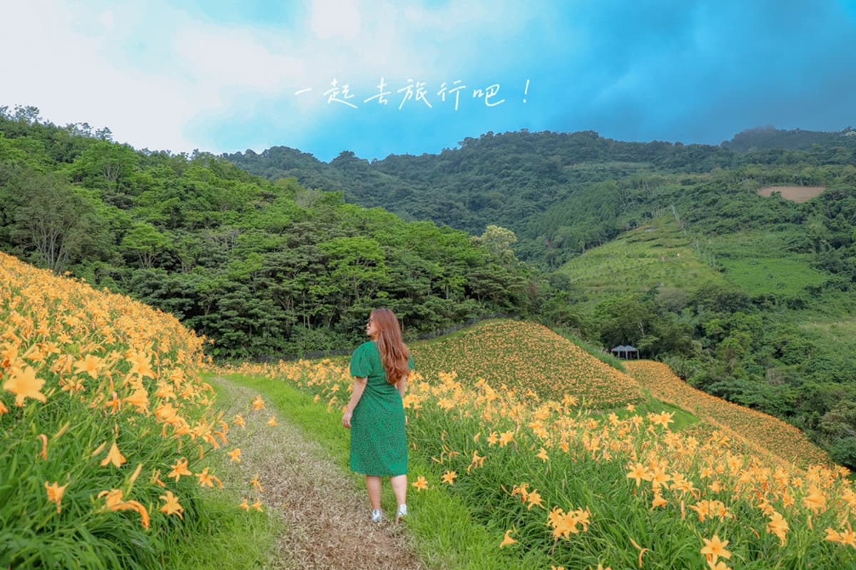 金黃花海攻占全台!5處金針花祕境:多達10萬株、北部最大、衝彰化免費拍爆 金黃花海攻占全台!5處金針花祕境:多達10萬株、北部最大、衝彰化免費拍爆