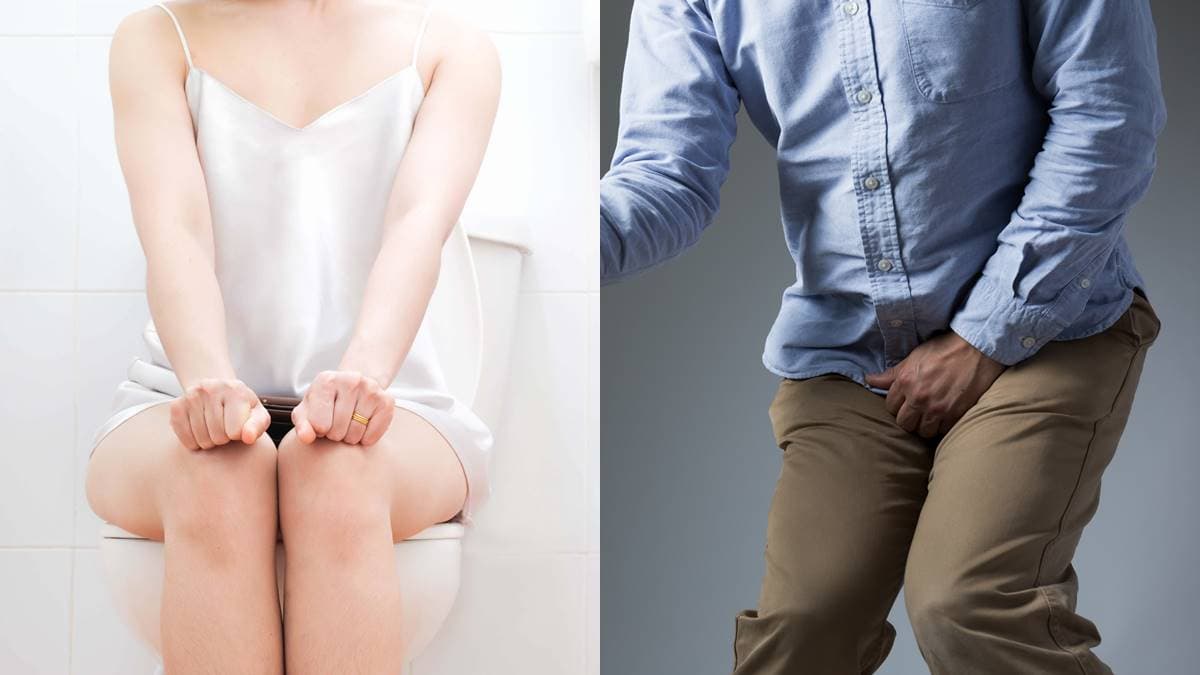 開會前你會先上廁所?憋尿引起大腦「這反應」,科學家發現:有意想不到好處