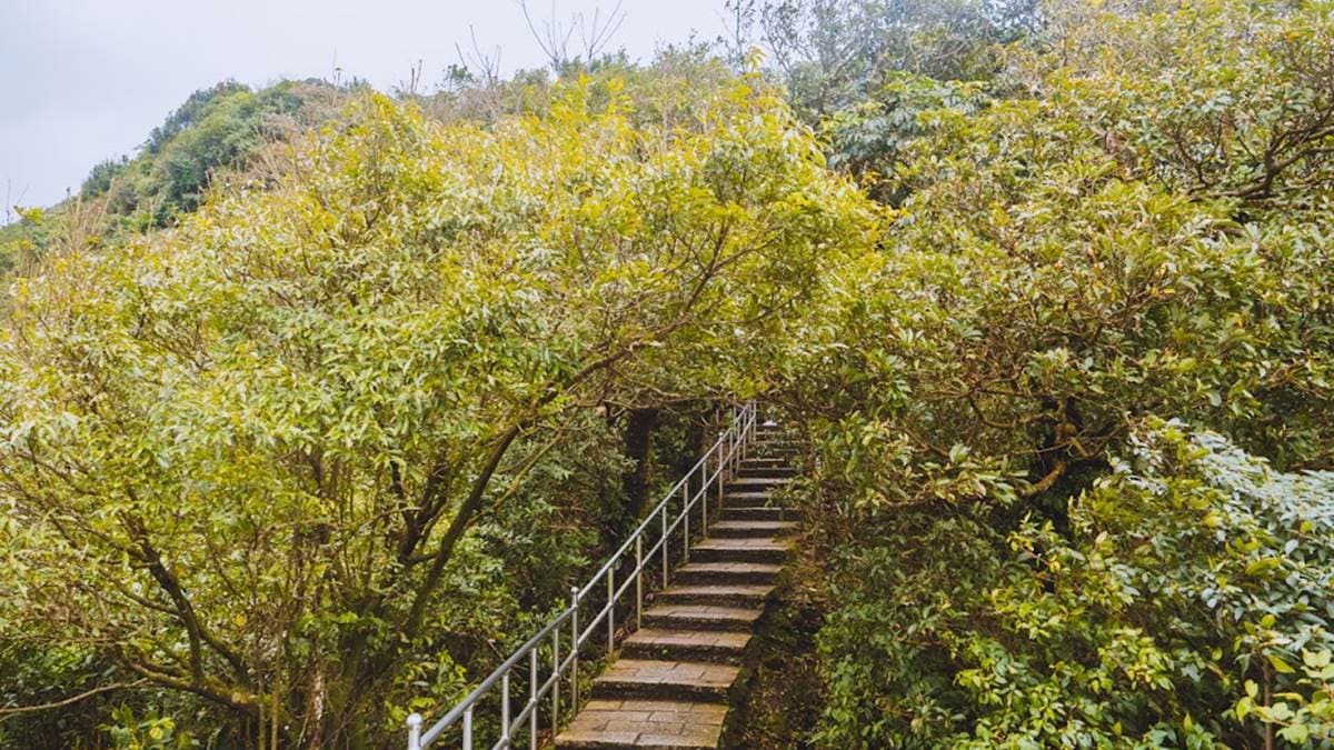 大尖山登山步道 img