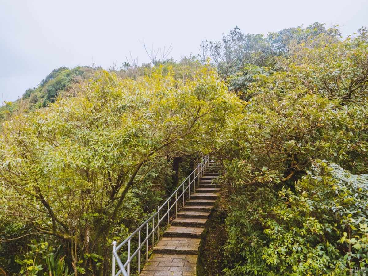 新北人都想私藏!汐止6大免費景點:深山中「夢幻湖泊」、爬步道賞百萬美景 新北人都想私藏!汐止6大免費景點:深山中「夢幻湖泊」、爬步道賞百萬美景