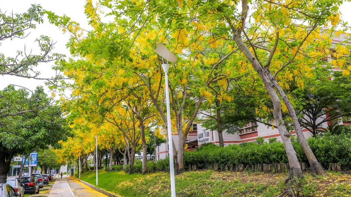 南科Park17商場