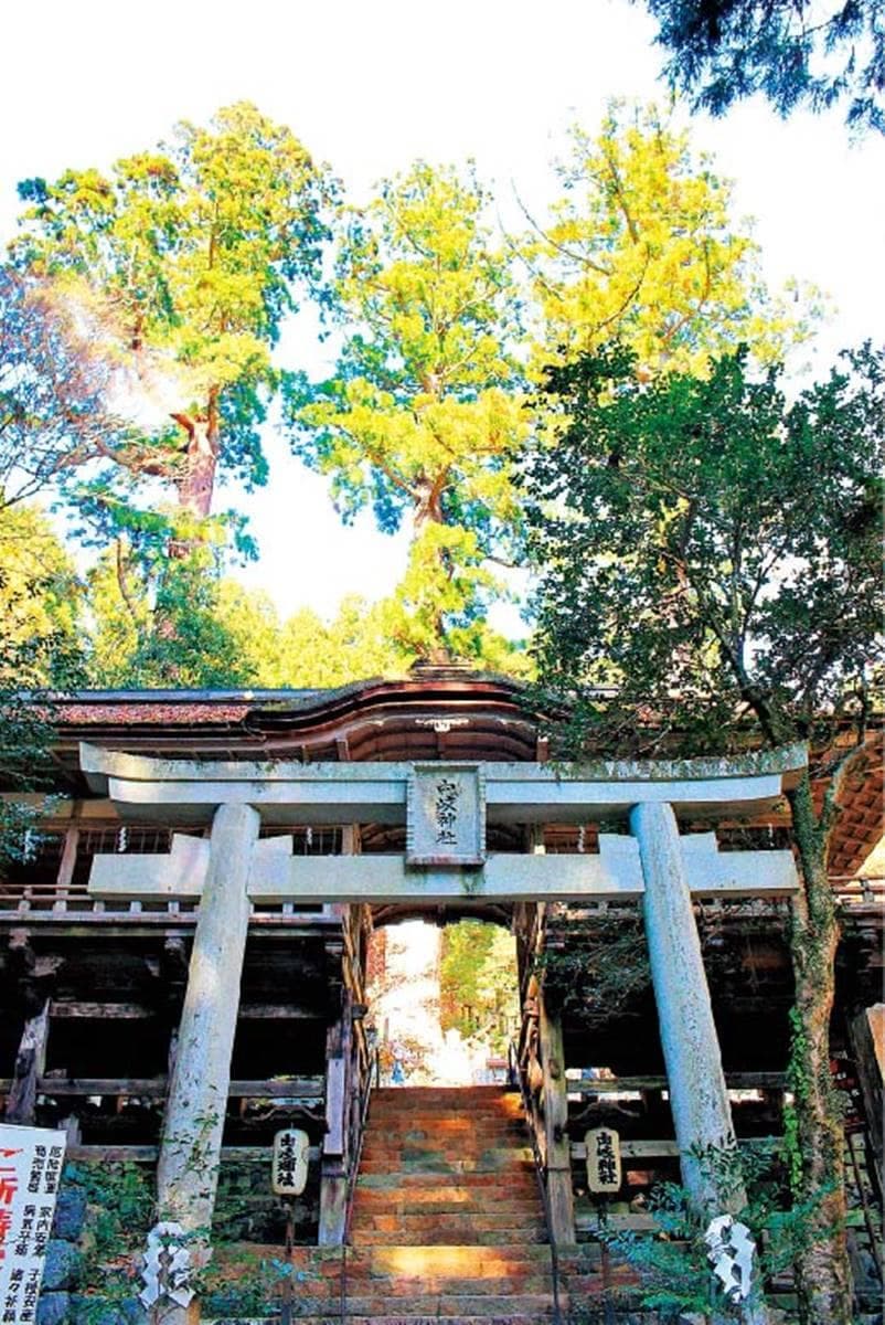 避暑、求好運都有!1日券暢遊京都後花園6景點:超靈驗水占卜、老字號甜點 避暑、求好運都有!1日券暢遊京都後花園6景點:超靈驗水占卜、老字號甜點