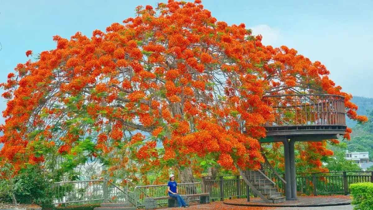 梅山公園