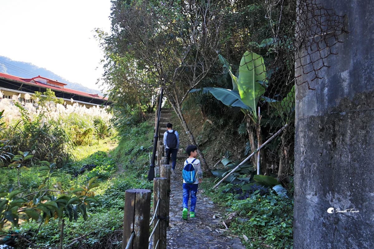 新北「茶主題市集」只有6天!免費逛60家茶點攤位,順遊坪林區3大景點 新北「茶主題市集」只有6天!免費逛60家茶點攤位,順遊坪林區3大景點