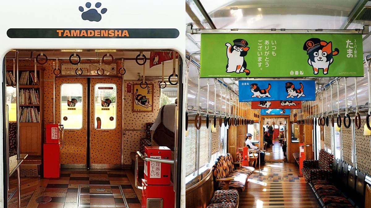 日本「最強貓站長」!一代上任1年吸金日幣11億,快搭「小玉電車」訪繼承人 日本「最強貓站長」!一代上任1年吸金日幣11億,快搭「小玉電車」訪繼承人