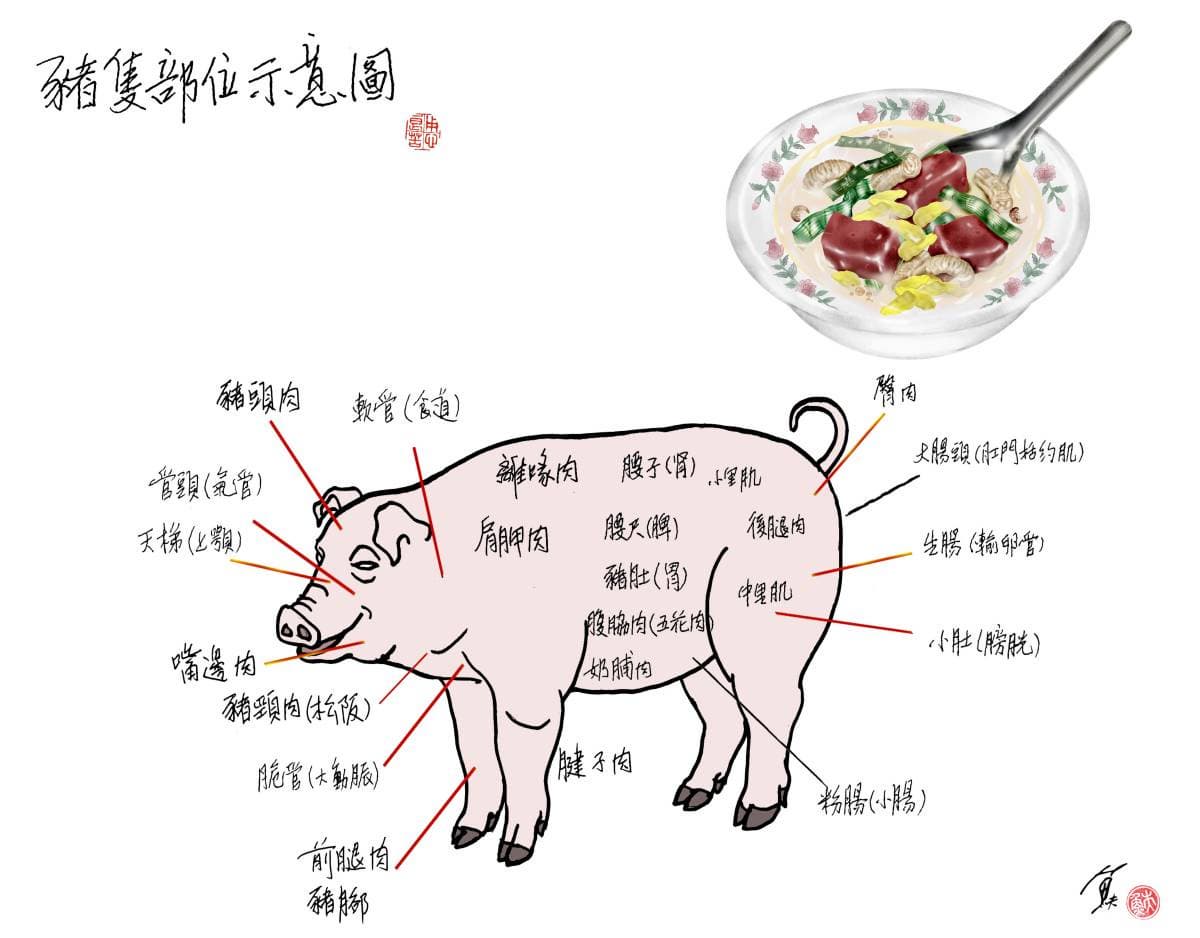 菜單見「菊花肉」「老鼠肉」嚇歪!老饕揭傻眼菜單真相,點這2種肉才是真內行 菜單見「菊花肉」「老鼠肉」嚇歪!老饕揭傻眼菜單真相,點這2種肉才是真內行