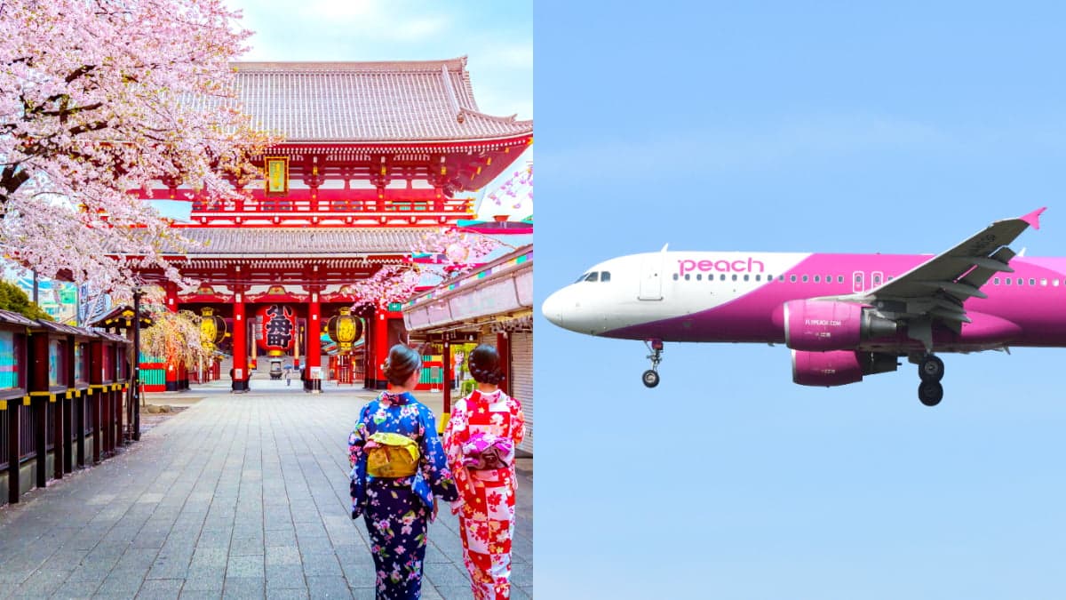 3090元起爽飛日本!7人團購買樂桃「促銷機票」最高7折,明中午準時開搶