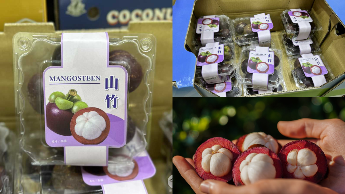 好市多進口山竹啦!會員嗨翻搶買,內行人再曝1處買更便宜