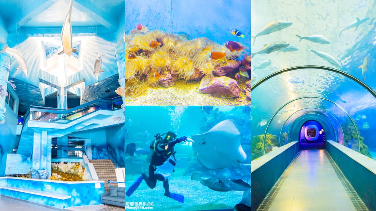 「離島唯一水族館」在這!搶拍14米長海底隧道,加碼體驗觸摸池、魚魚餵食秀
