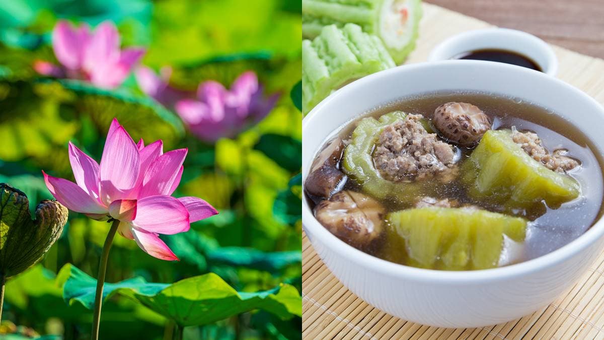 夏至當天陽氣最重!吃「2類食物」解熱降心火,火旺拉肚子吃「這味」可緩解