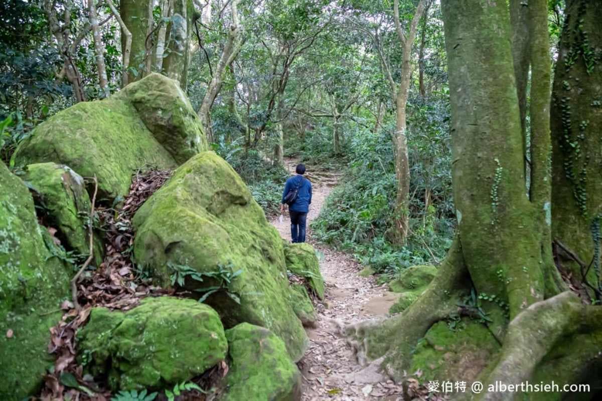 桃園人避暑首選!6條超好走私房步道:夢幻水母廊道、台灣小百岳、瀑布祕境 桃園人避暑首選!6條超好走私房步道:夢幻水母廊道、台灣小百岳、瀑布祕境